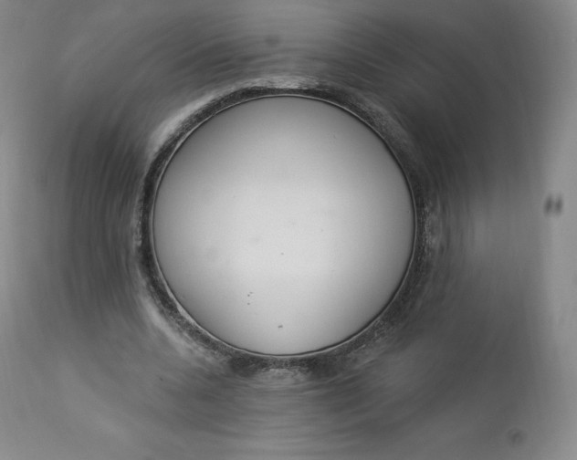 X0000112860536200909041555