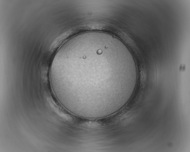 X0000112860537200909041555