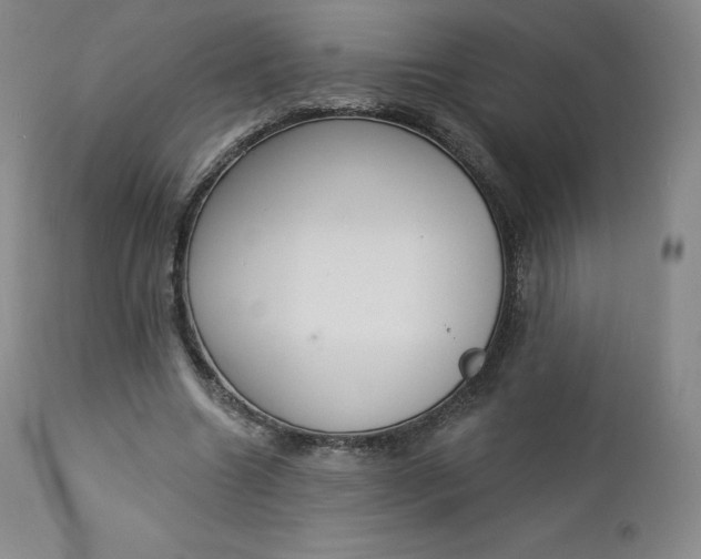 X0000112860538200909041555