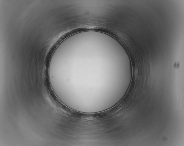 X0000112860540200909041555
