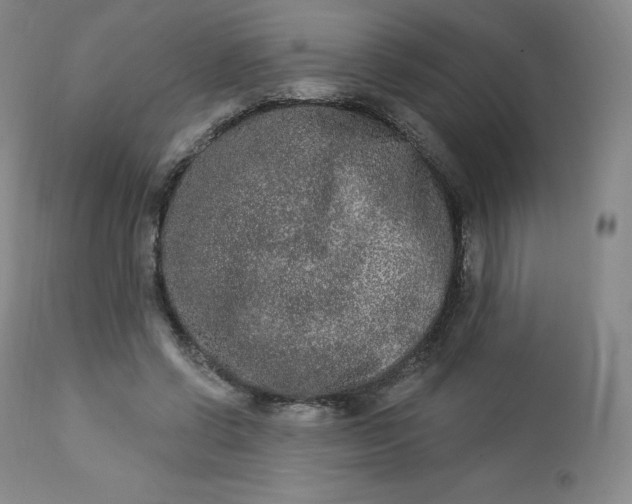 X0000112860542200909041556