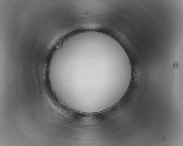 X0000112860544200909041556