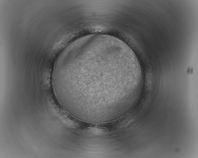 X0000112860545200909041556