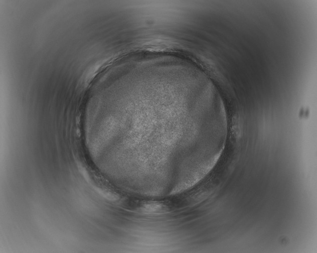 X0000112860547200909041556