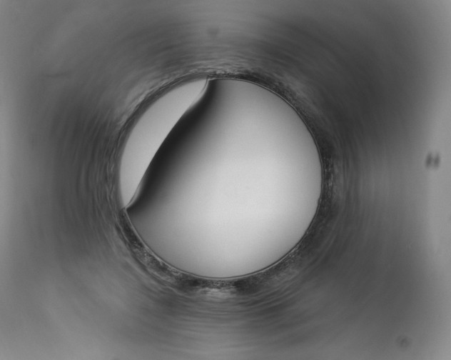 X0000112860548200909041556