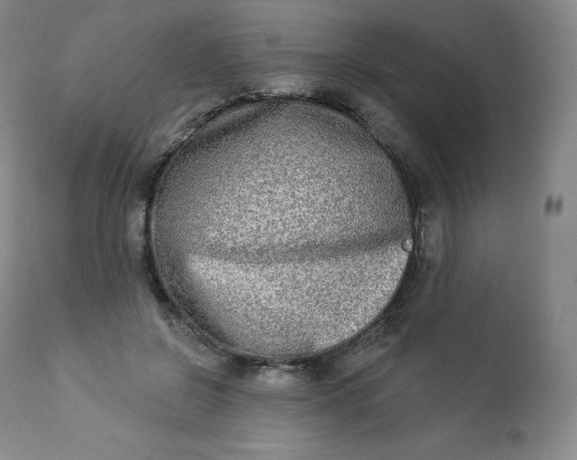 X0000112860550200909041556