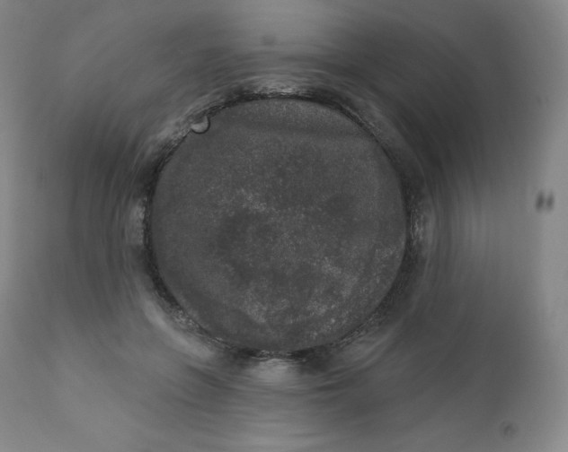 X0000112860551200909041556