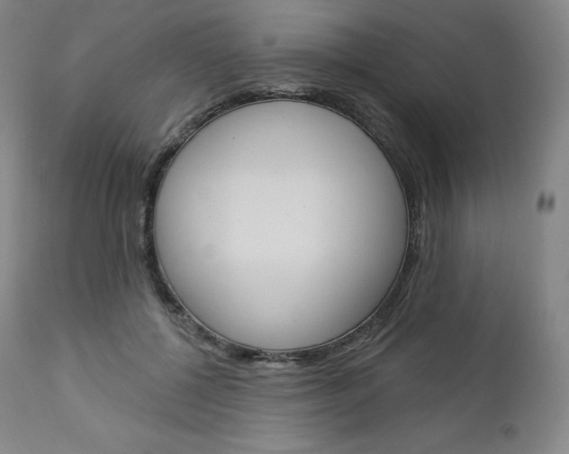 X0000112860552200909041556