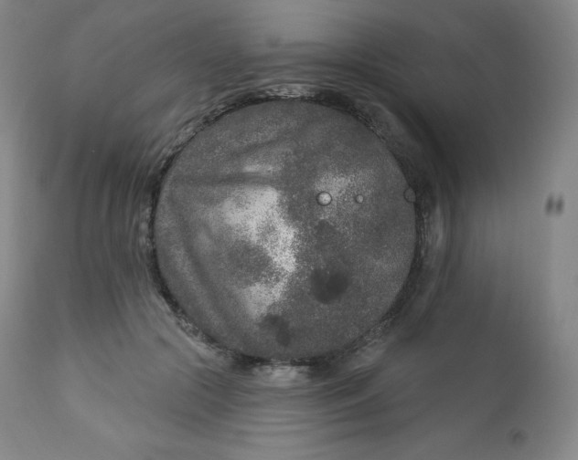 X0000112860553200909041556