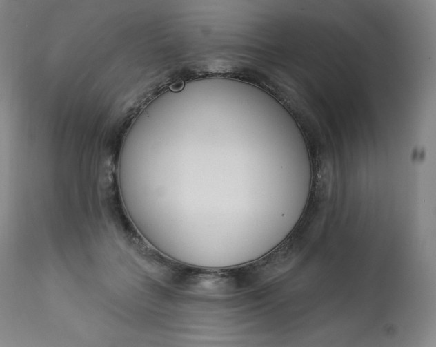 X0000112860555200909041556