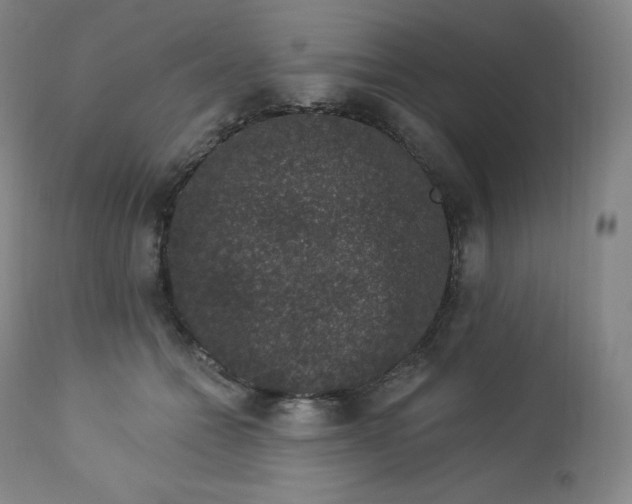 X0000112860558200909041556