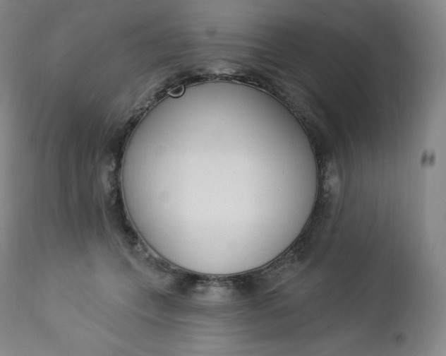 X0000112860559200909041556