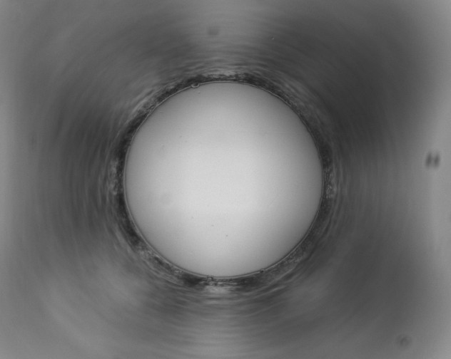 X0000112860560200909041556