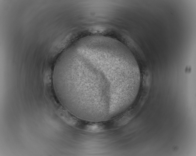 X0000112860561200909041556