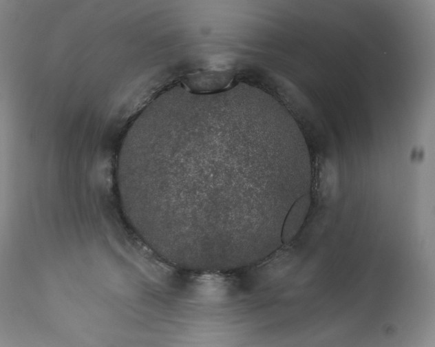 X0000112860562200909041556