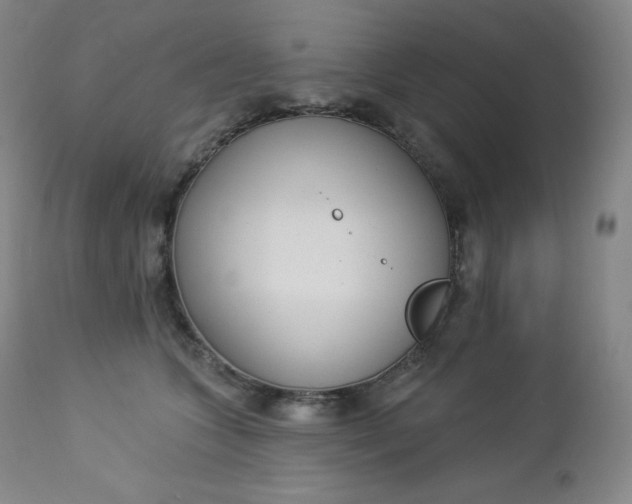 X0000112860563200909041556