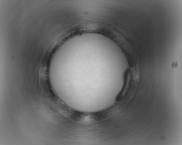 X0000112860564200909041556