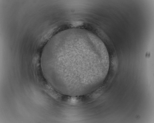 X0000112860565200909041556