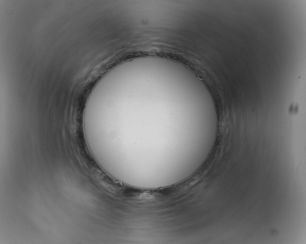 X0000112860566200909041556