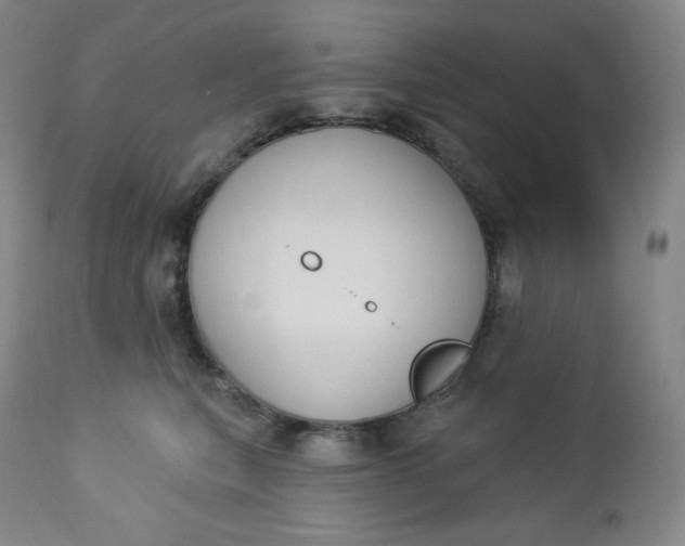 X0000112860567200909041556