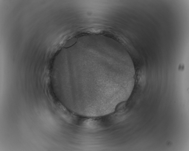 X0000112860568200909041556