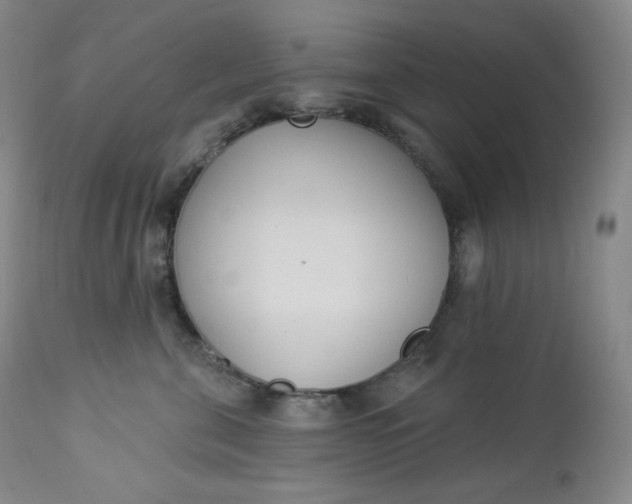 X0000112860571200909041556