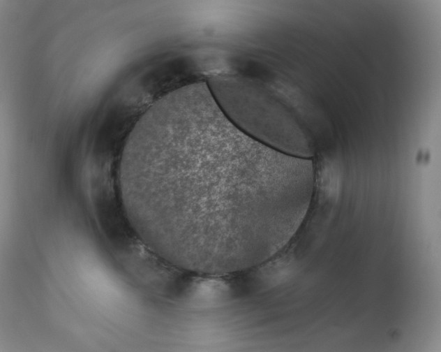 X0000112860572200909041556