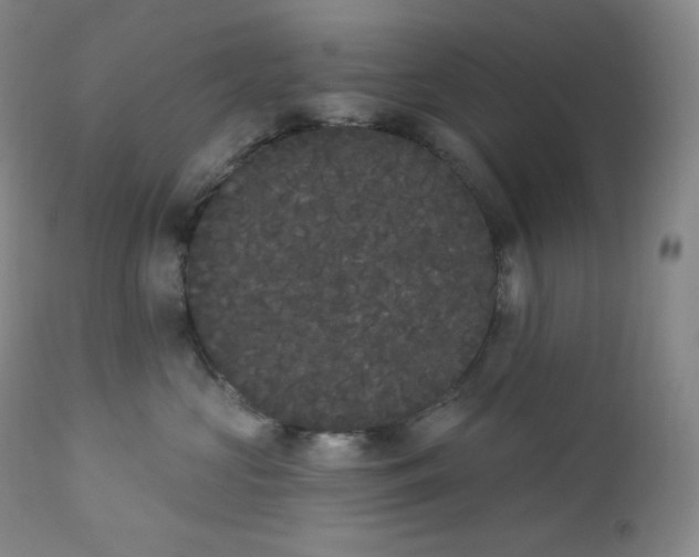 X0000112860573200909041556