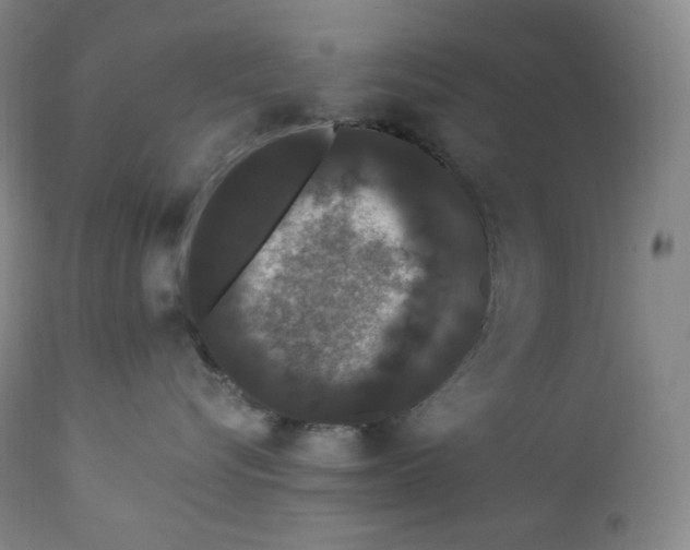 X0000112860576200909041556