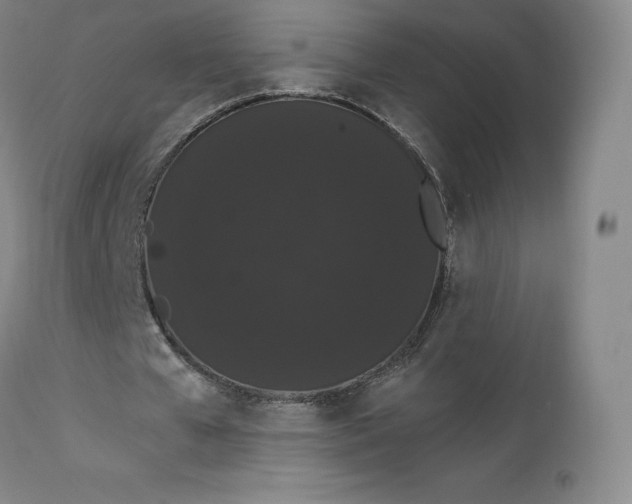X0000112860577200909041555