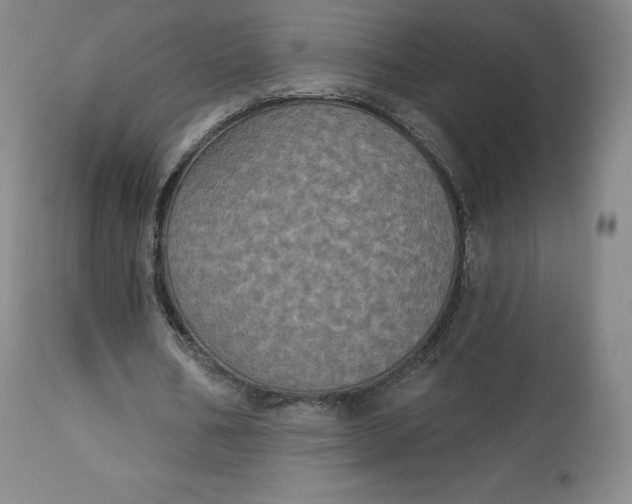 X0000112860578200909041555