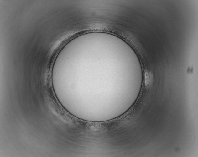 X0000112860579200909041555