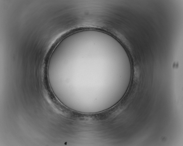 X0000112860580200909041555