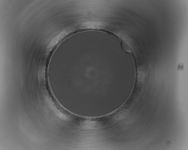 X0000112860581200909041555