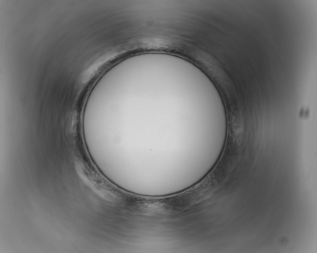 X0000112860583200909041555