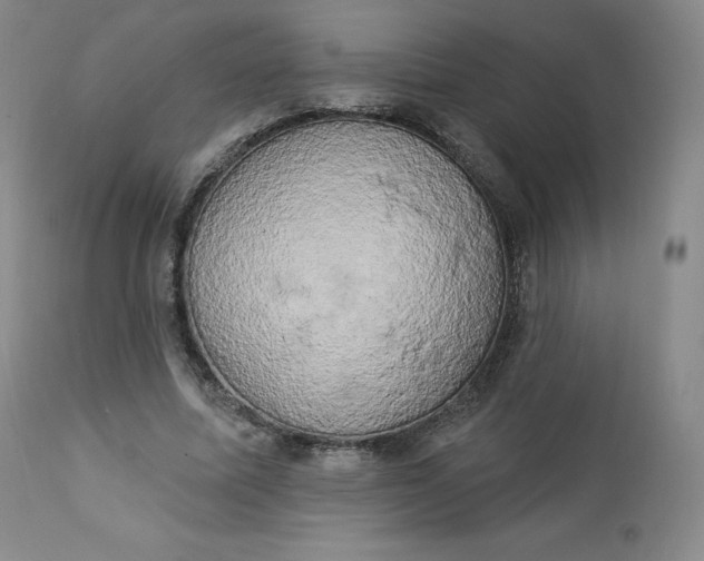 X0000112860587200909041555