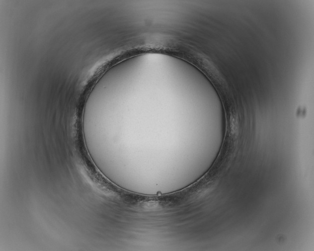 X0000112860588200909041555