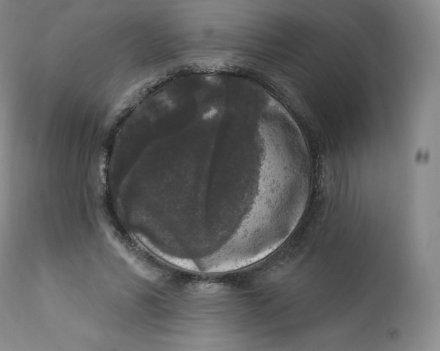 X0000112860590200909041555