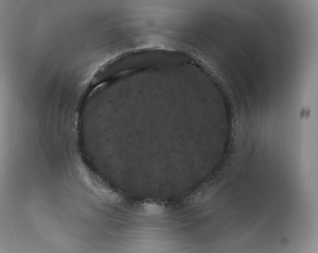 X0000112860592200909041555