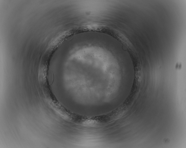 X0000112860593200909041555