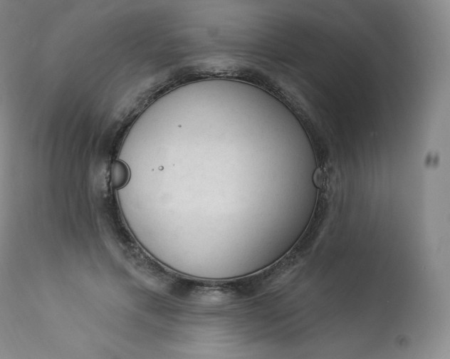 X0000112860597200909041555