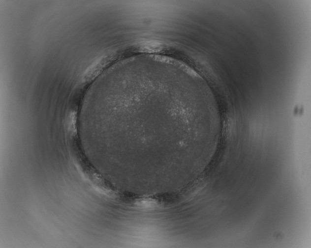 X0000112860598200909041555