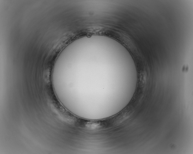 X0000112860602200909041555