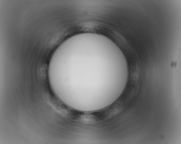 X0000112860603200909041555