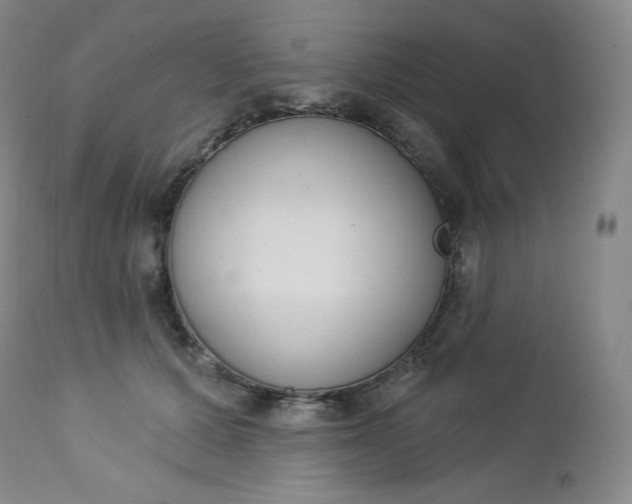 X0000112860607200909041555