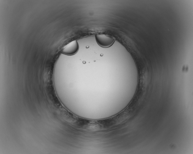 X0000112860608200909041555