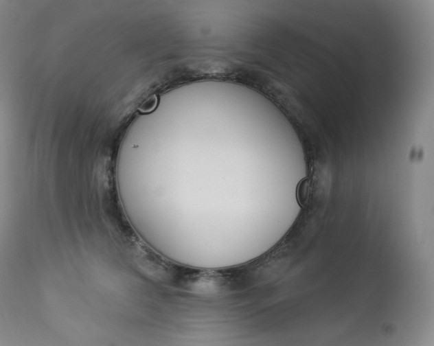X0000112860612200909041555