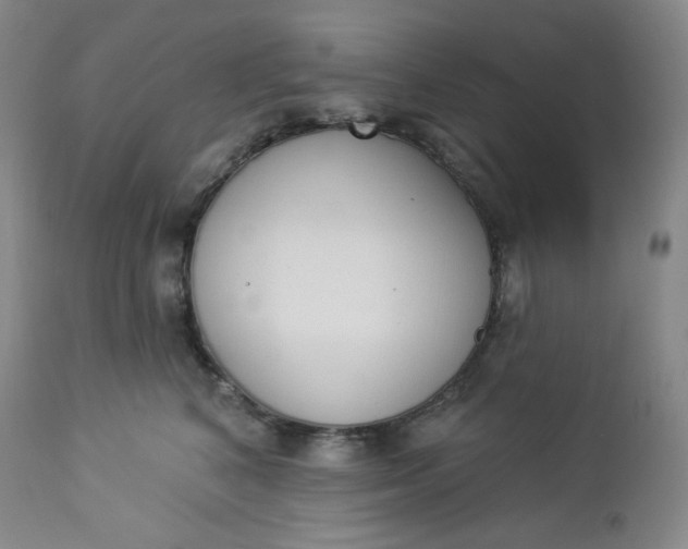 X0000112860616200909041555