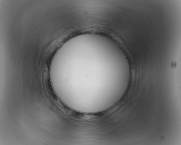 X0000112860617200909041555
