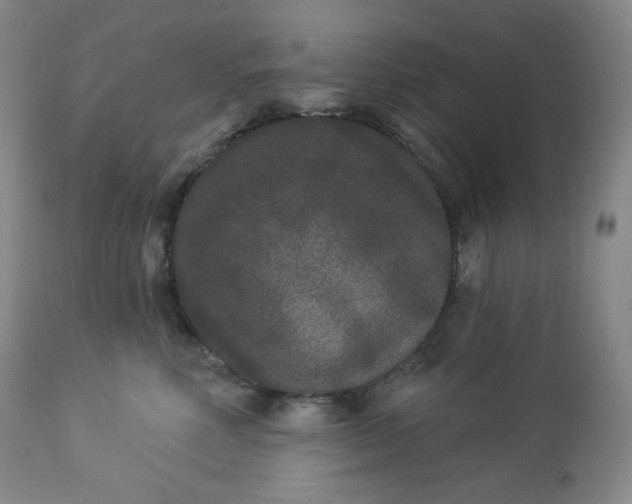 X0000112860618200909041555